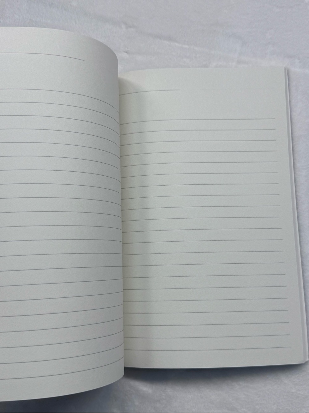 Definitely Not Evil Plans Black Notebook - Picture 4 of 6